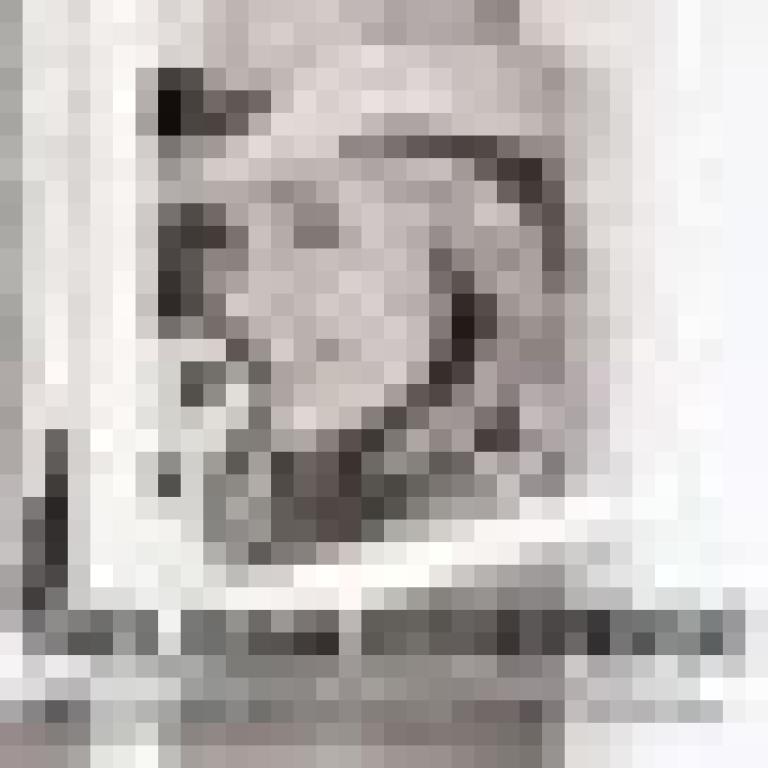 [Melissa Etheridge] Icon